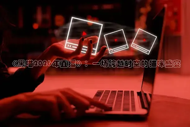 山猫足球直播高清直播